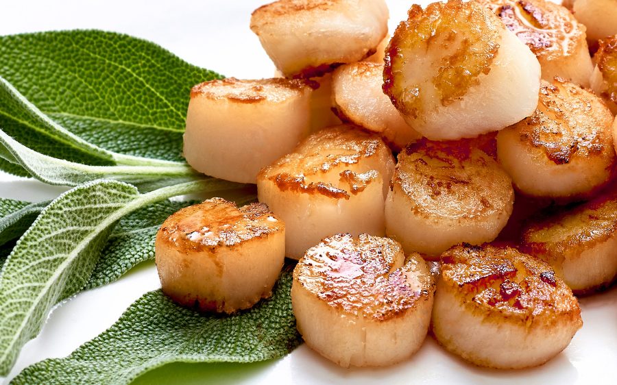 What kind of fish is a scallop